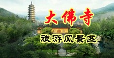 好想被操骚逼视频中国浙江-新昌大佛寺旅游风景区
